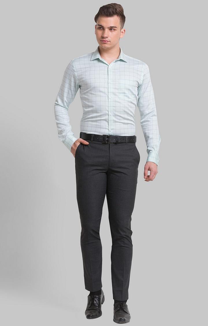 Park Avenue Men Light Green Formal Shirt