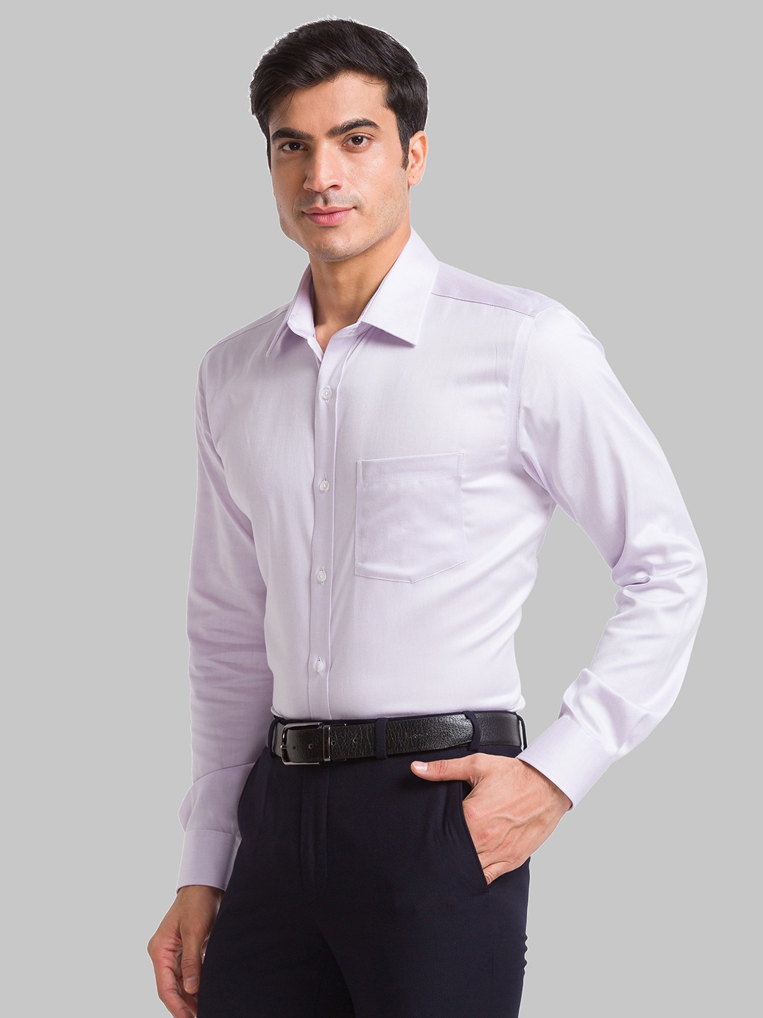 Park Avenue Regular Fit Light Violet Formal Shirt For Men