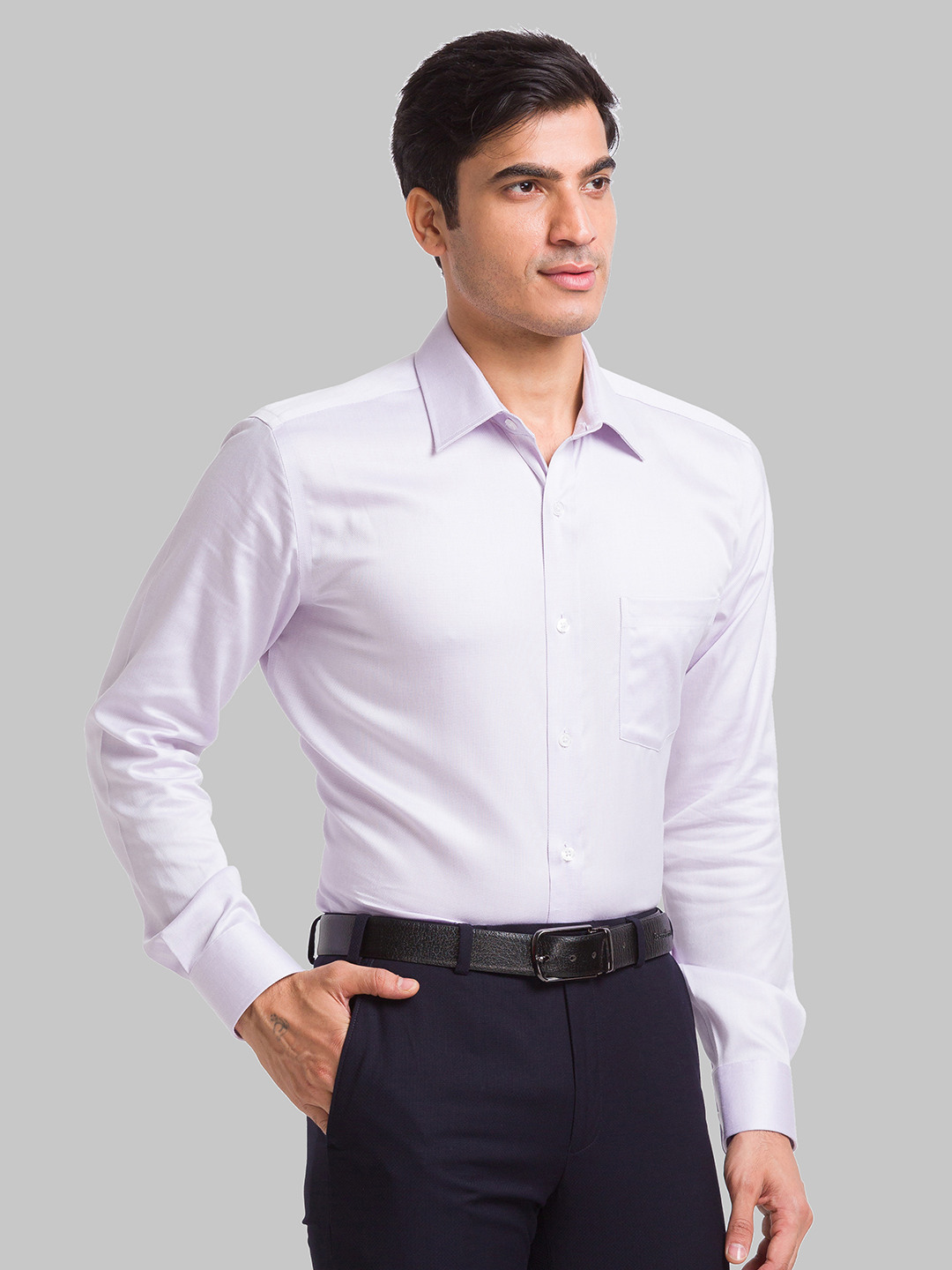 Park Avenue Regular Fit Light Violet Formal Shirt For Men