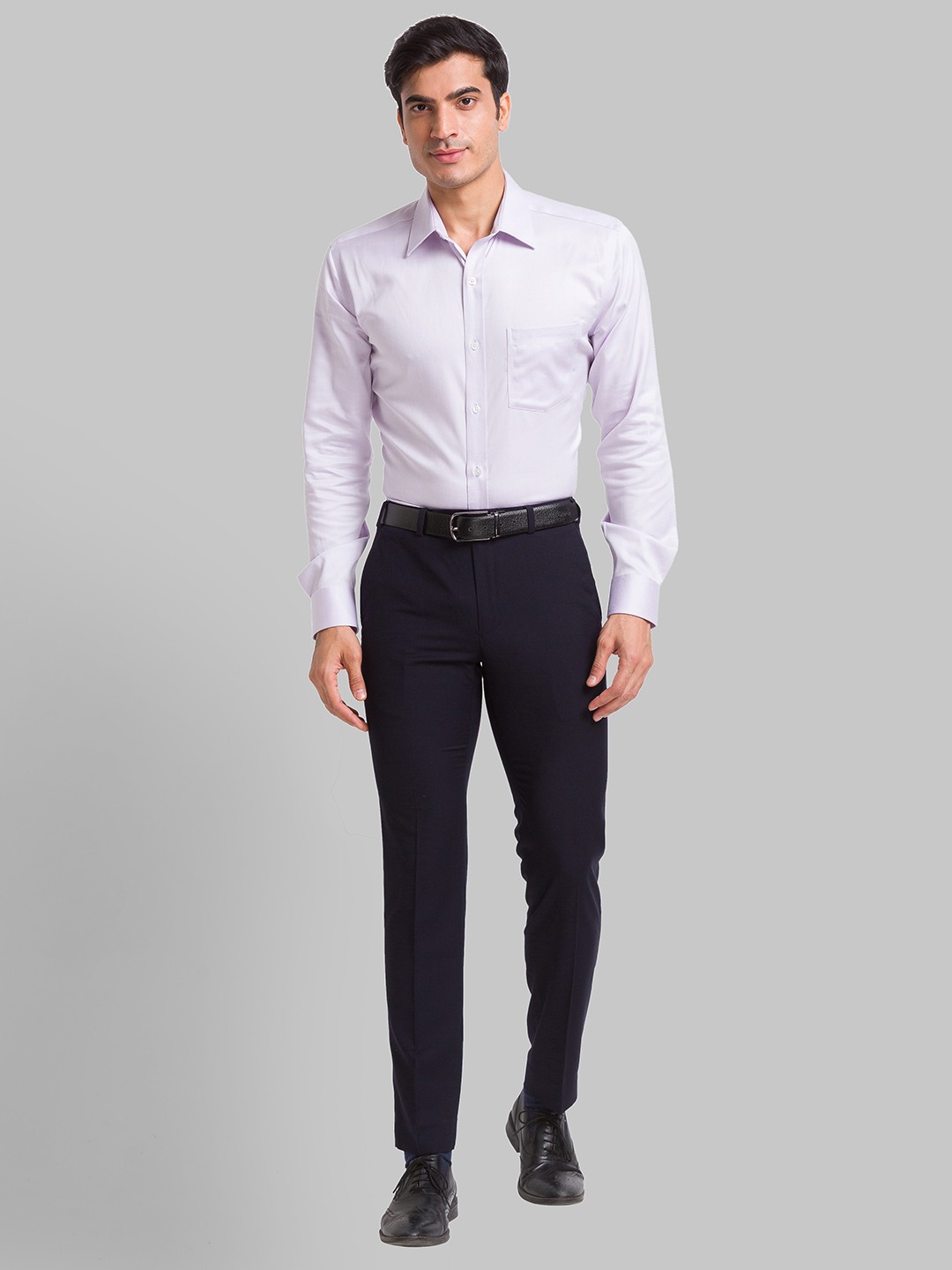 Park Avenue Regular Fit Light Violet Formal Shirt For Men