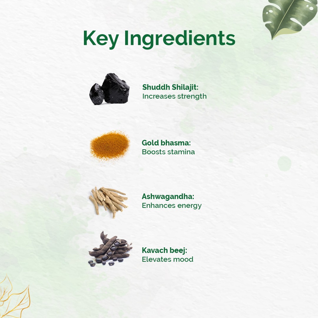 Dr Vaidya's Shilajit gold -30 Capsules