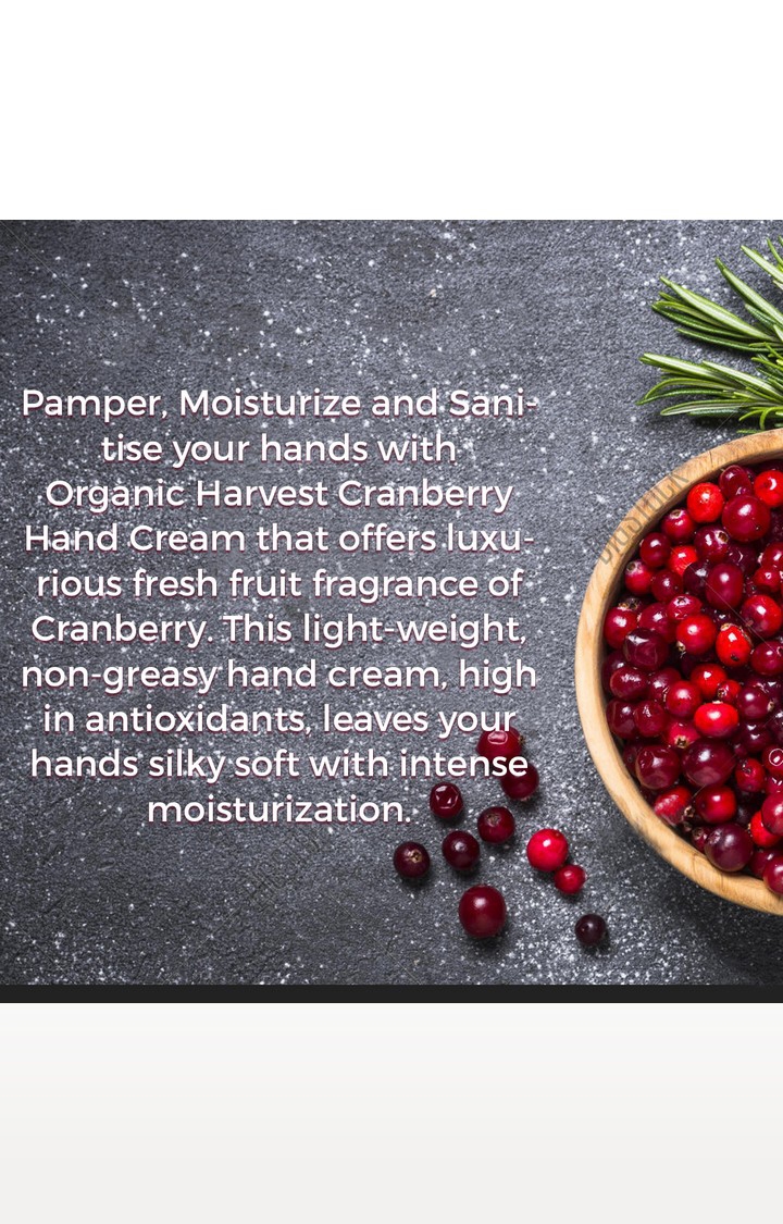 Organic Harvest | Organic Harvest Hand Cream - Cranberry, 50gm 3