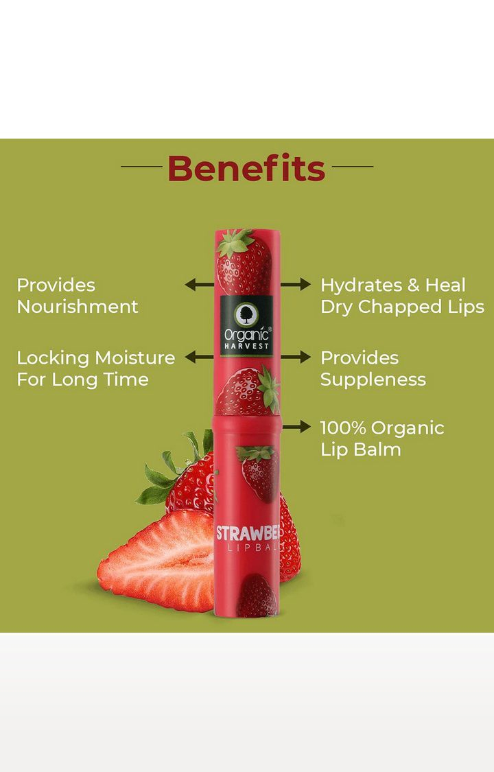 Organic Harvest | Organic Harvest Lip Balm Strawberry With Mango Butter for Dry and Chapped Lips, 3gm 1