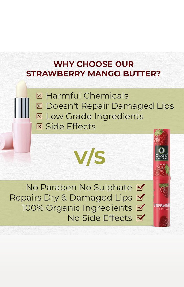 Organic Harvest | Organic Harvest Lip Balm Strawberry With Mango Butter for Dry and Chapped Lips, 3gm 5