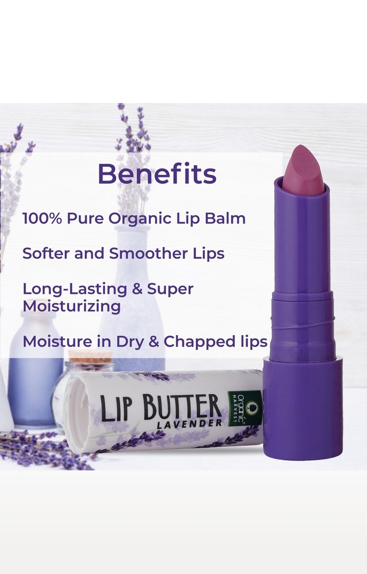 Organic Harvest | Organic Harvest Lip Butter Lavender Moisturizing Balm for Dry and Chapped Lips, 4gm 3