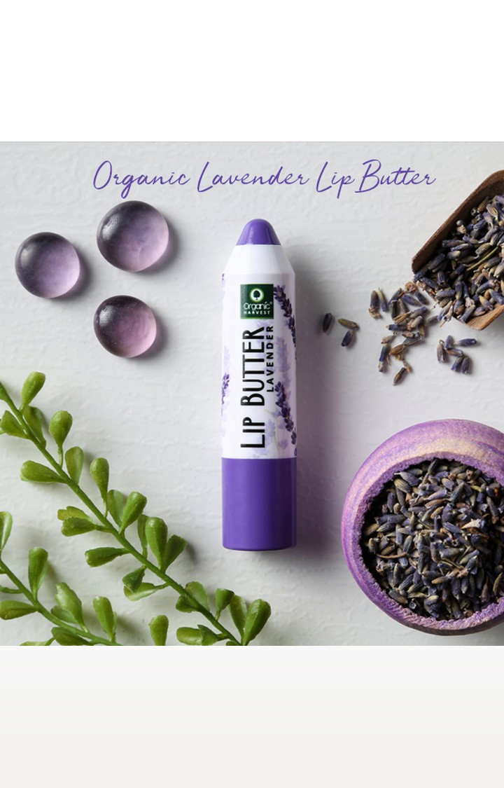 Organic Harvest | Organic Harvest Lip Butter Lavender Moisturizing Balm for Dry and Chapped Lips, 4gm 2