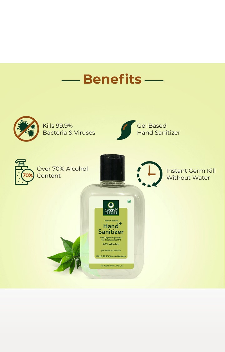Organic Harvest | Organic Harvest Hand Sanitizer, 250ml 1