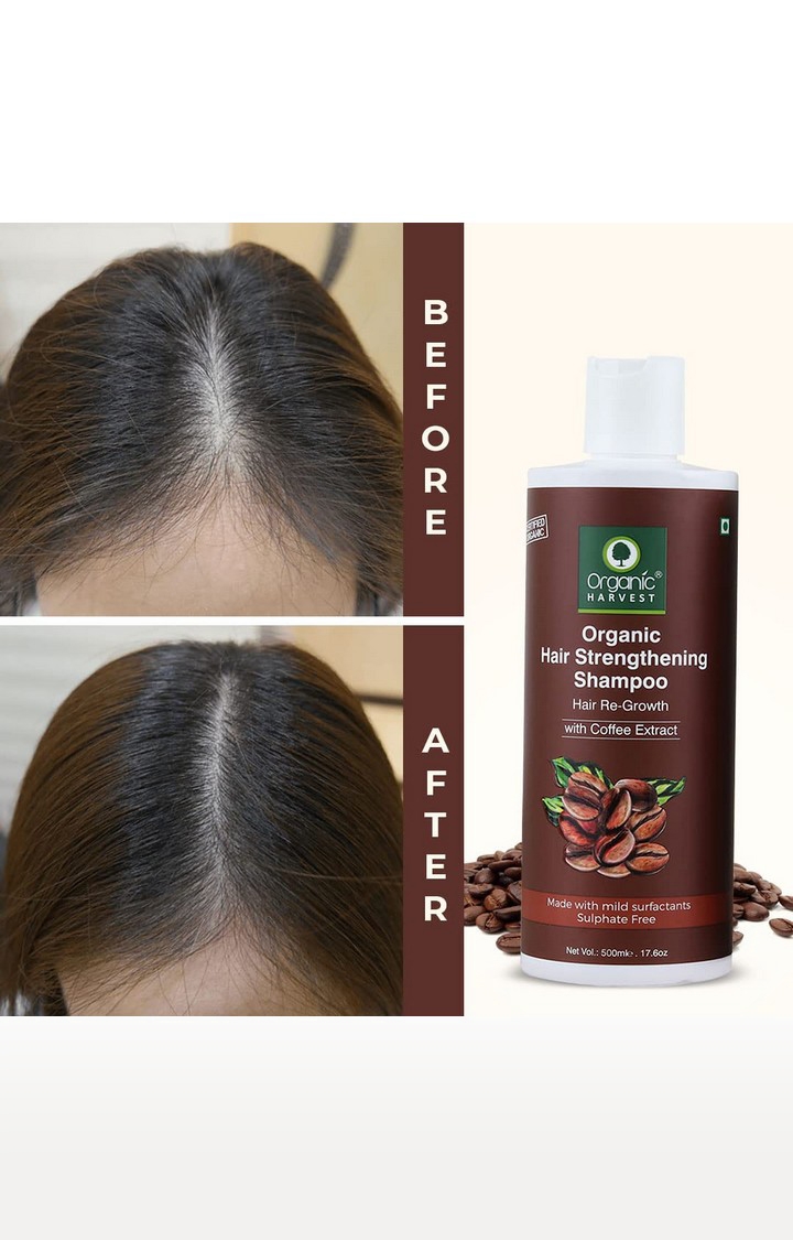 Organic Harvest | Organic Harvest Coffee Shampoo For Hair Fall Control & Hair Growth, Hair Strengthening Shampoo for Women - 500ml 4