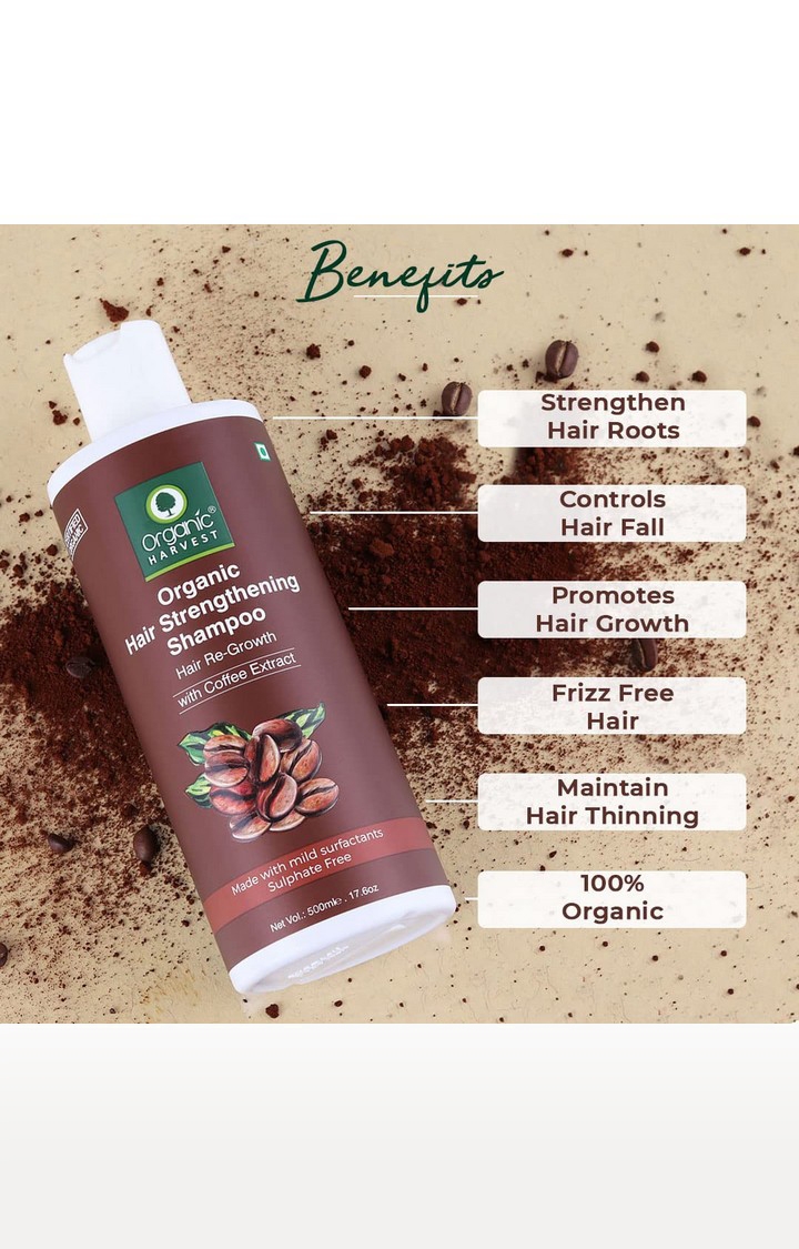 Organic Harvest | Organic Harvest Coffee Shampoo For Hair Fall Control & Hair Growth, Hair Strengthening Shampoo for Women - 500ml 1