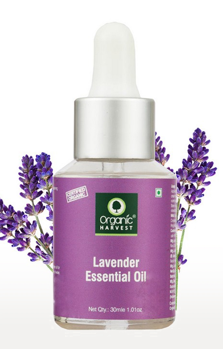 Organic Harvest | Organic Harvest Lavender Essential Oil, 30ml 0