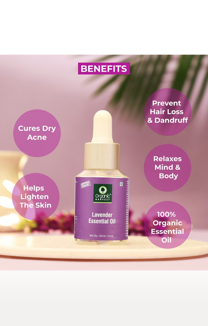 Organic Harvest | Organic Harvest Lavender Essential Oil, 30ml 1