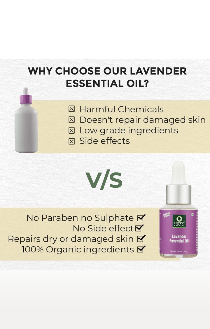 Organic Harvest | Organic Harvest Lavender Essential Oil, 30ml 5