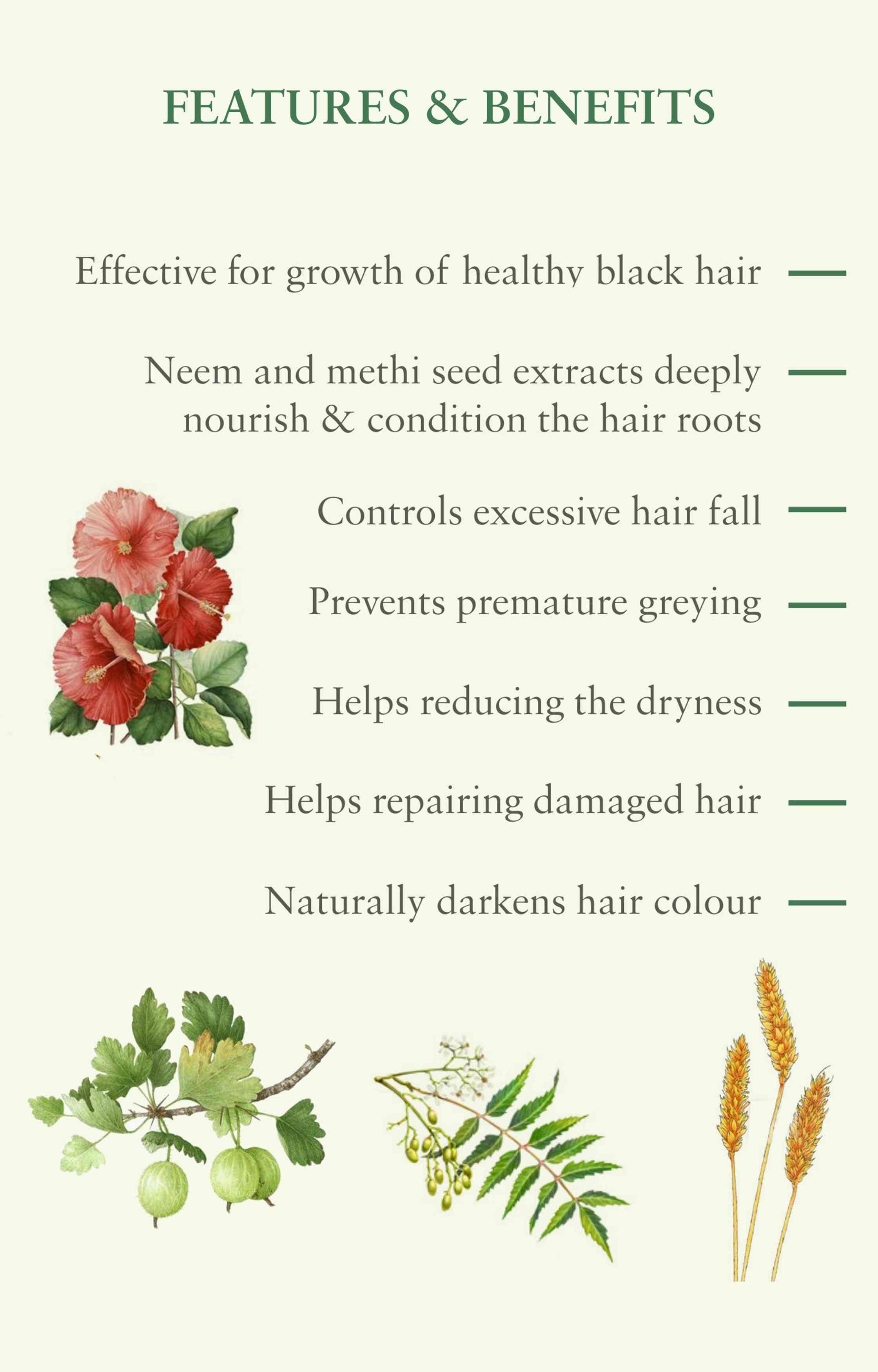 8 In 1 Root Nourishing Amla Neem Shampoo