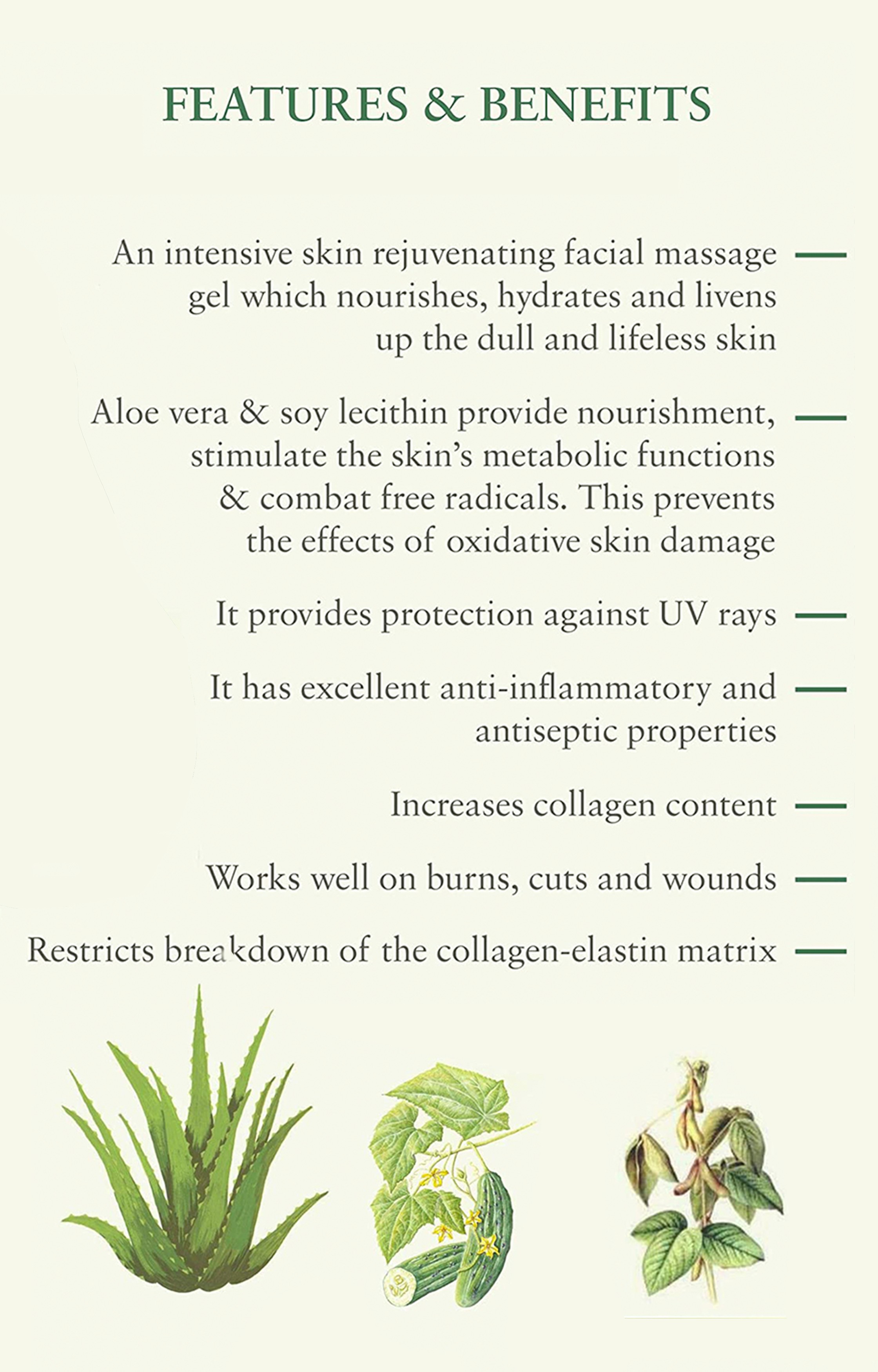 Aloe Vera Facial Massage Gel