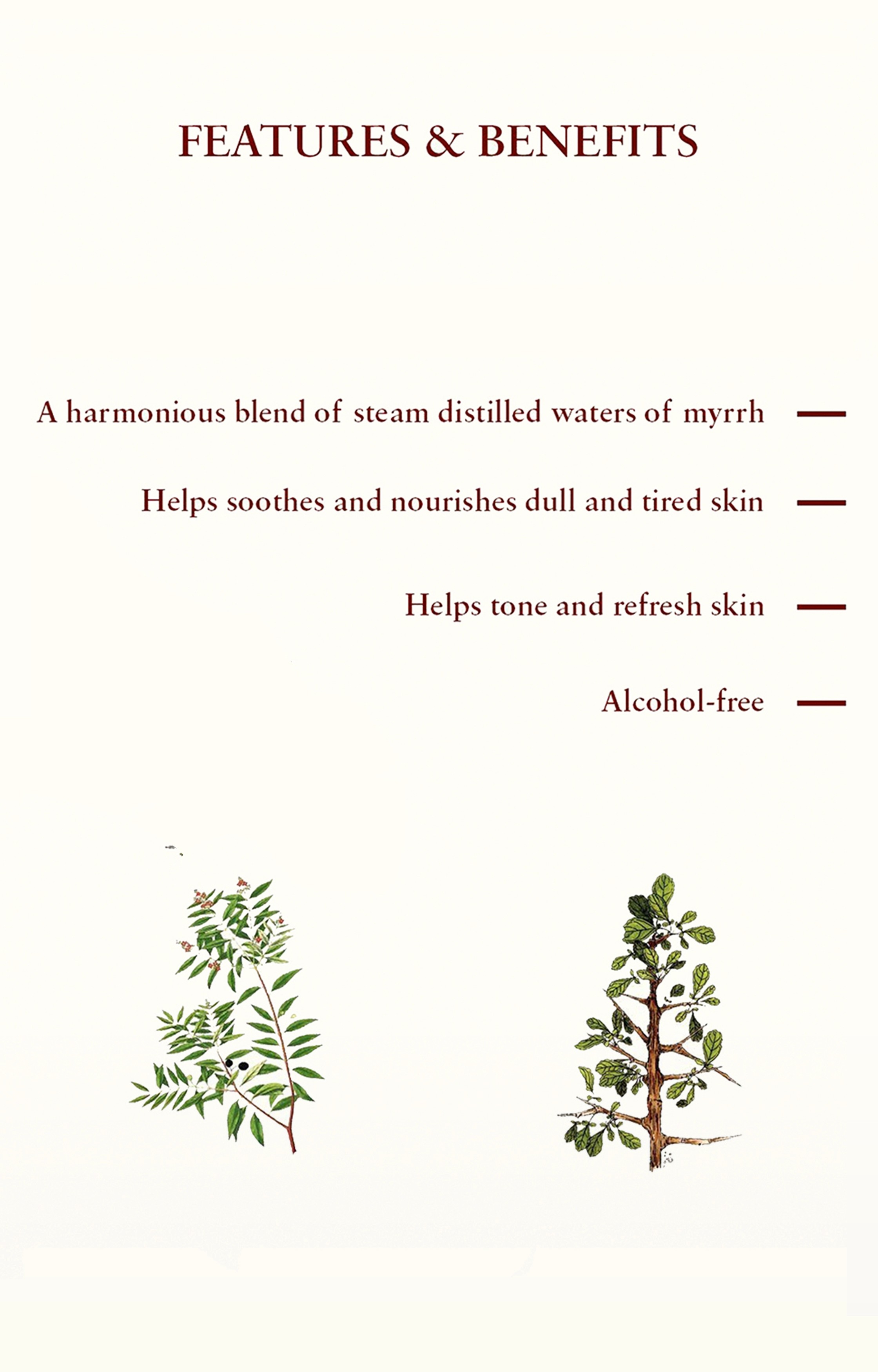 Just Herbs | Myrrh Sandalwood Restorative Tonique (oily/combination skin) 3