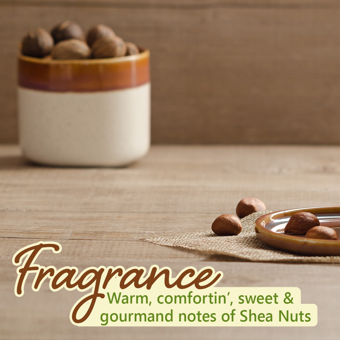 Plum BodyLovin’ Shea Got It Body Oil | Normal to Dry Skin | Deep Moisturization | Instant Glow