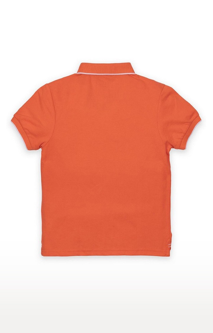 Boy's Orange Cotton Solid Polos