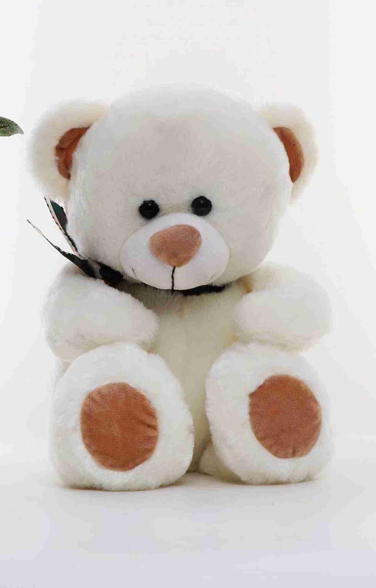 Archies Cream Color Teddy