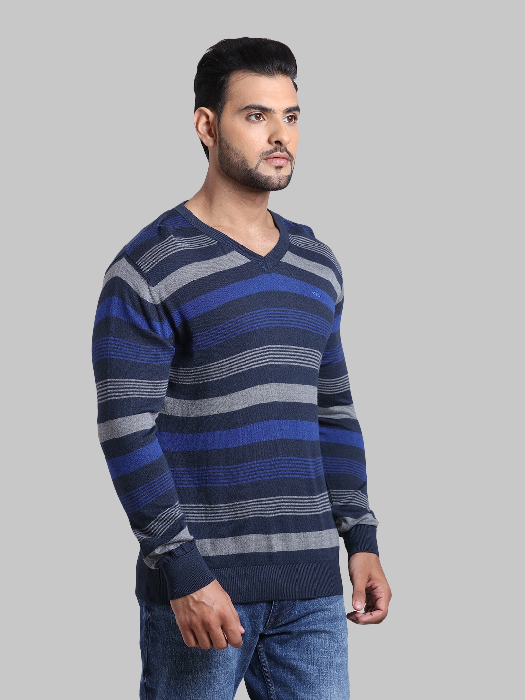 ColorPlus | ColorPlus Navy Sweater 1