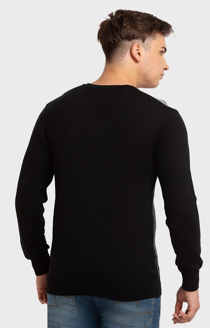 ColorPlus | ColorPlus Tailored Fit Black Sweater For Men 4