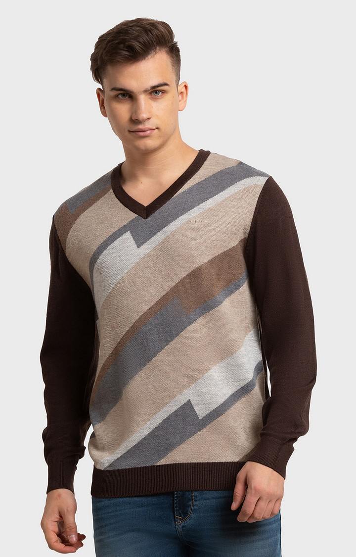 ColorPlus Tailored Fit Brown Sweater For Men