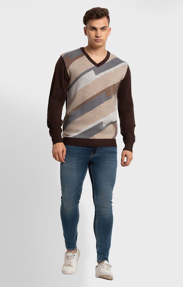 ColorPlus Tailored Fit Brown Sweater For Men