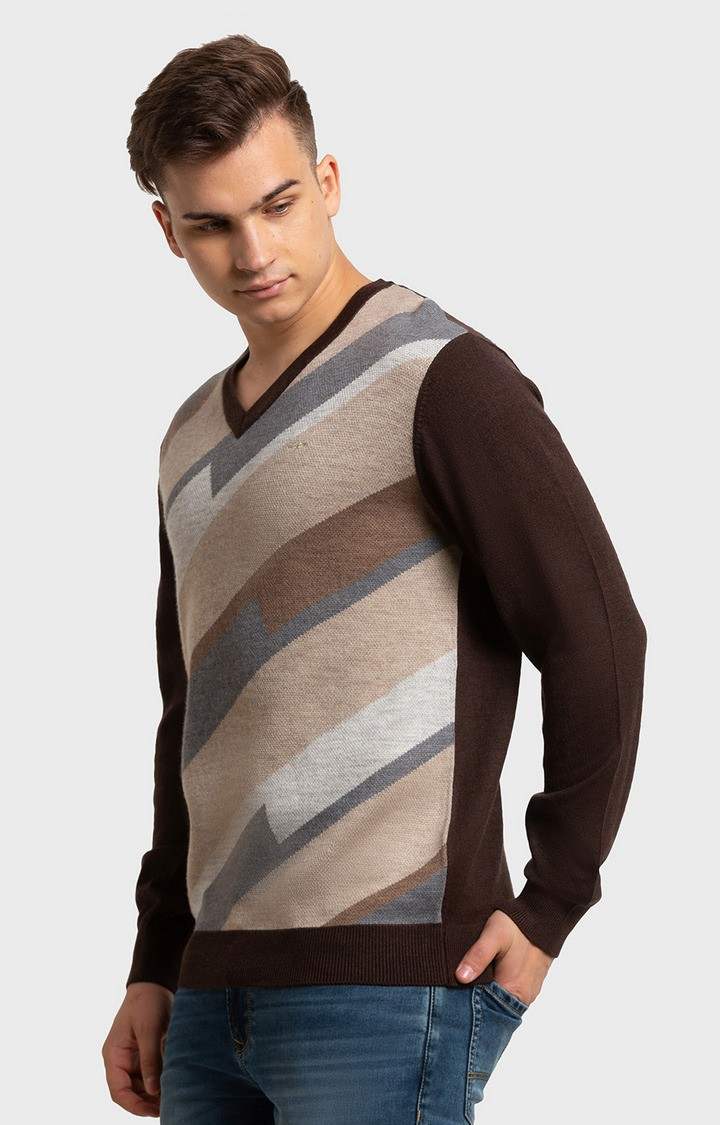 ColorPlus Tailored Fit Brown Sweater For Men