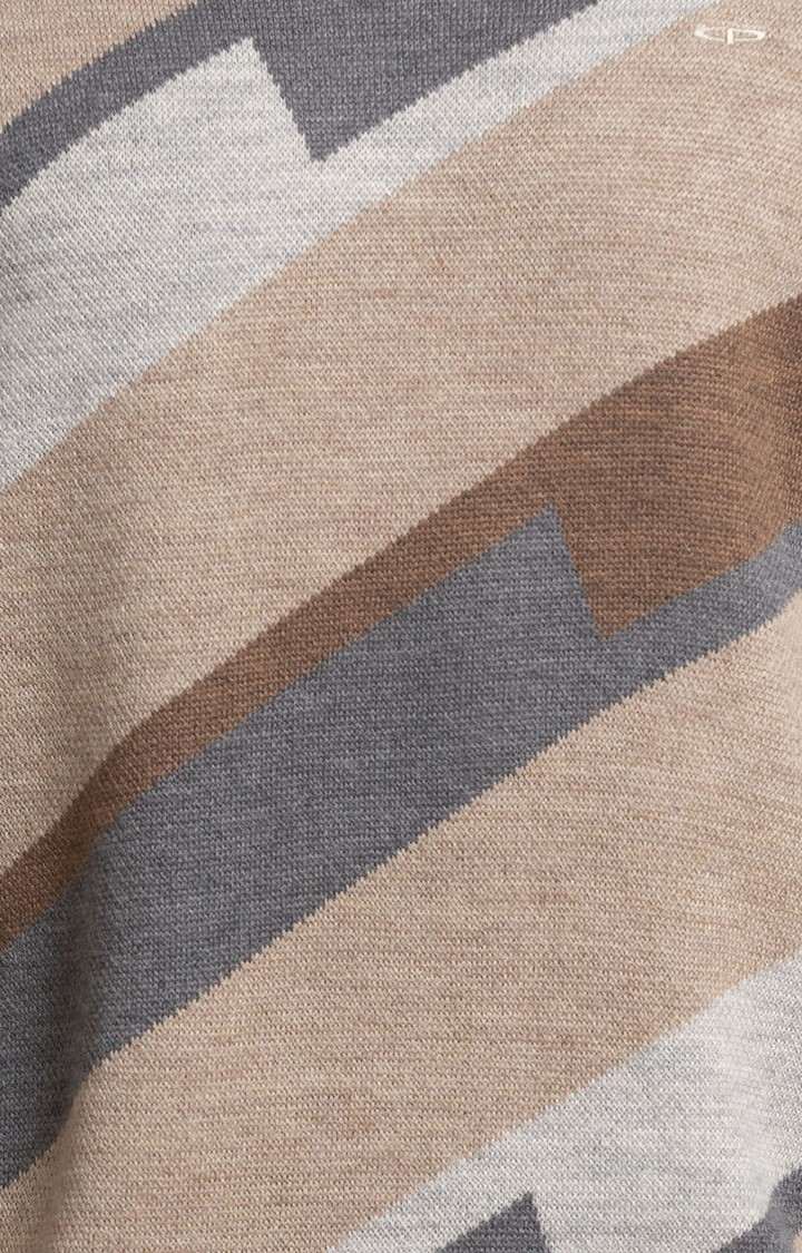ColorPlus Tailored Fit Brown Sweater For Men