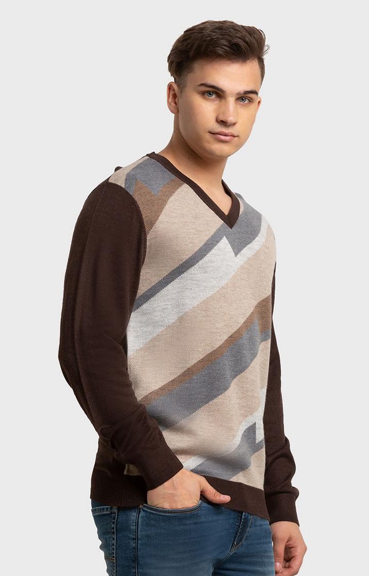 ColorPlus Tailored Fit Brown Sweater For Men