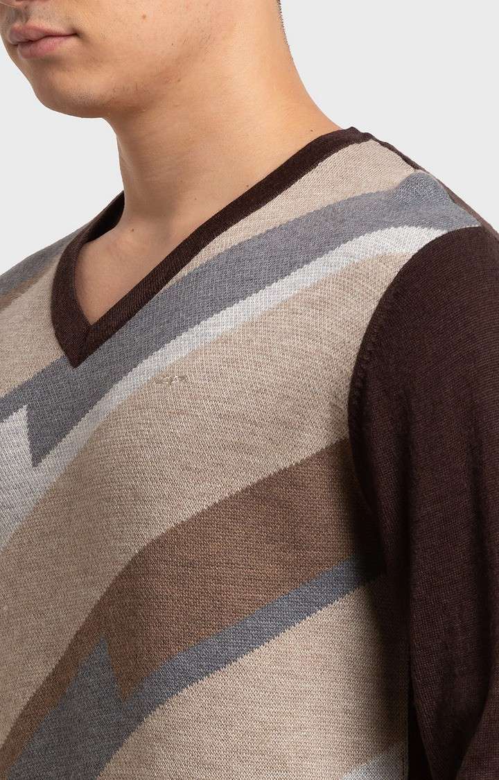 ColorPlus Tailored Fit Brown Sweater For Men