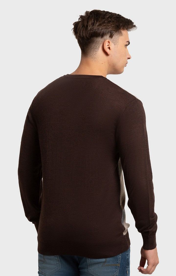 ColorPlus Tailored Fit Brown Sweater For Men