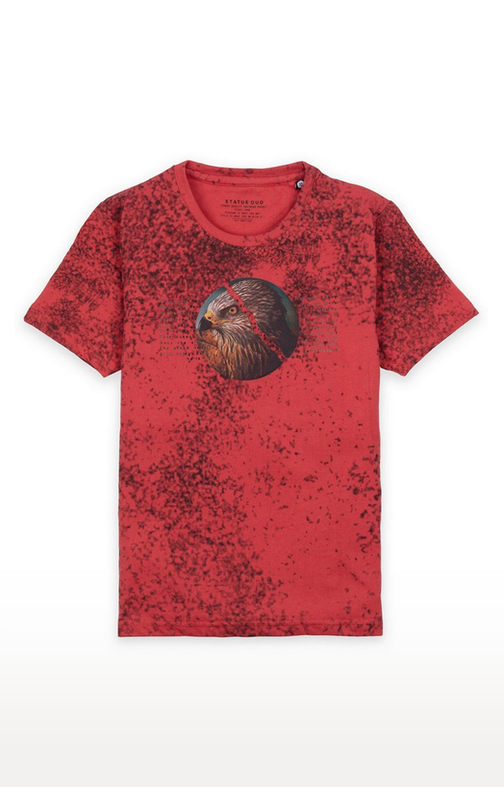 Boys Red Cotton Printeded Regular T-Shirt