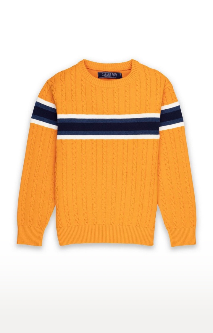 Status Quo | Boy's Yellow Polycotton Striped Sweaters 0