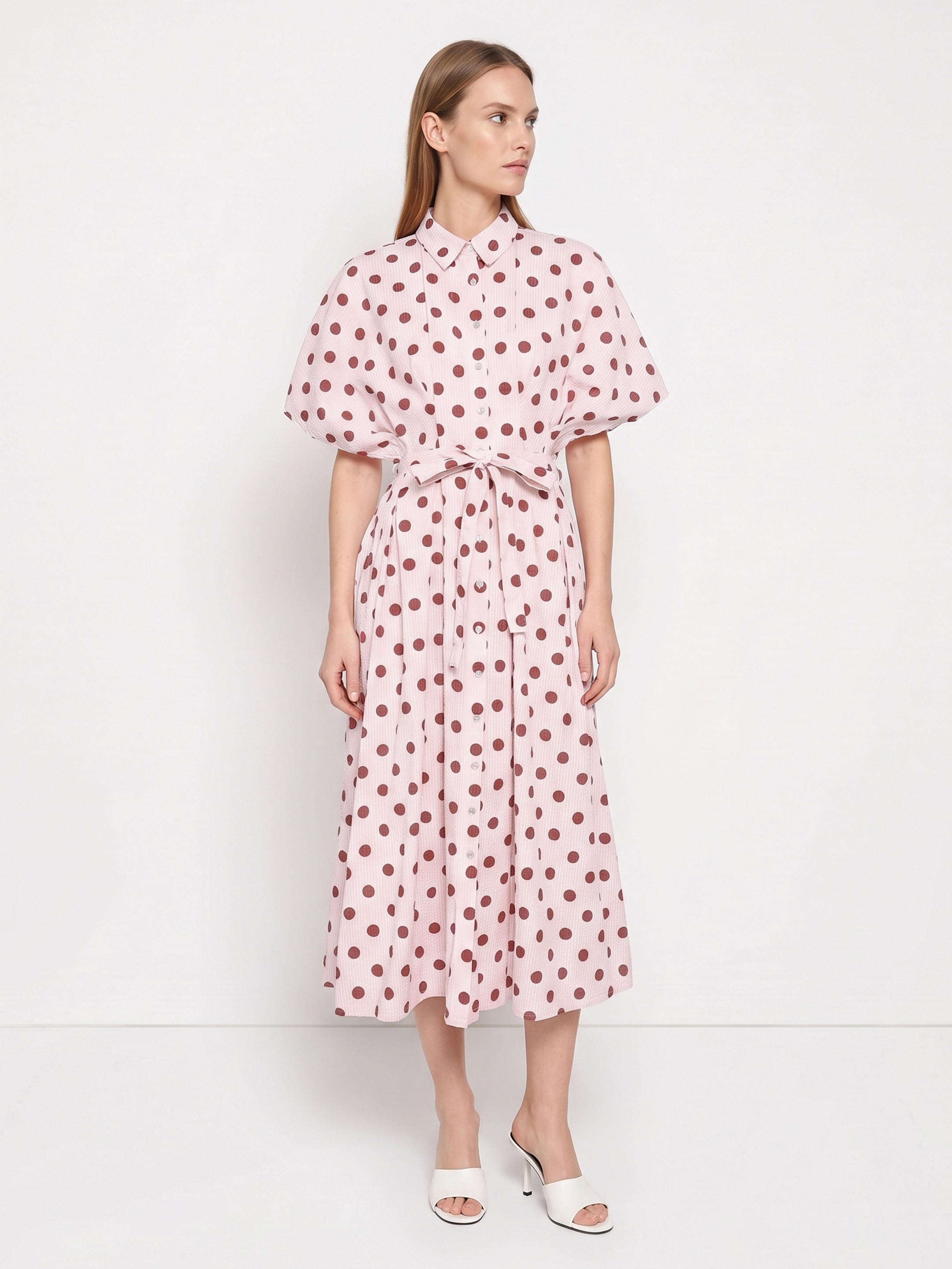 Erine Polka Dress