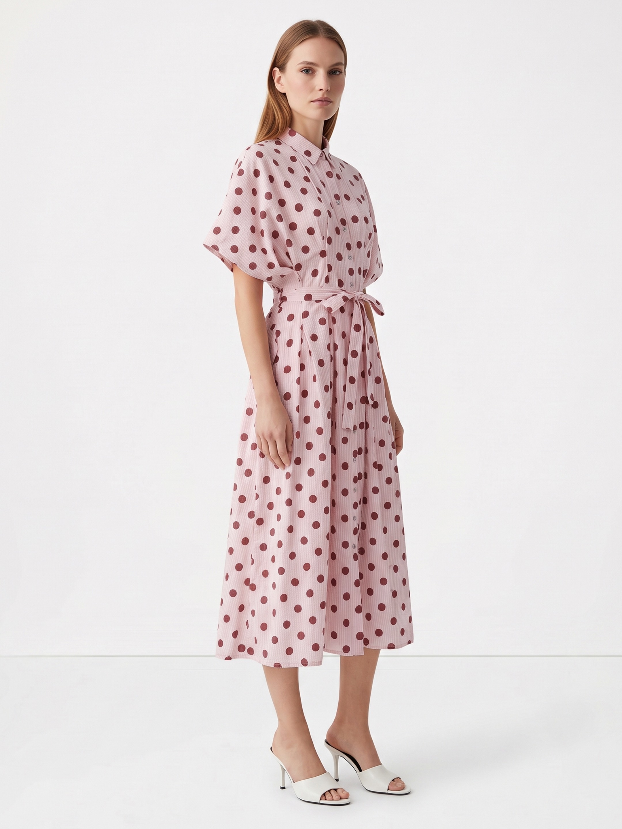 Erine Polka Dress