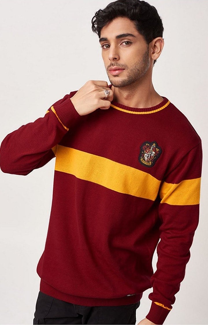 Men's Harry Potter: Gryffindor Sigil Red Striped Sweaters