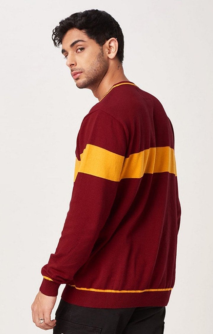 Men's Harry Potter: Gryffindor Sigil Red Striped Sweaters