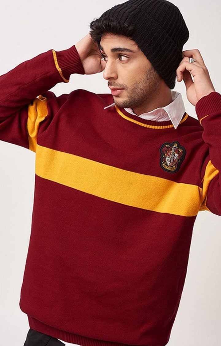 Men's Harry Potter: Gryffindor Sigil Red Striped Sweaters