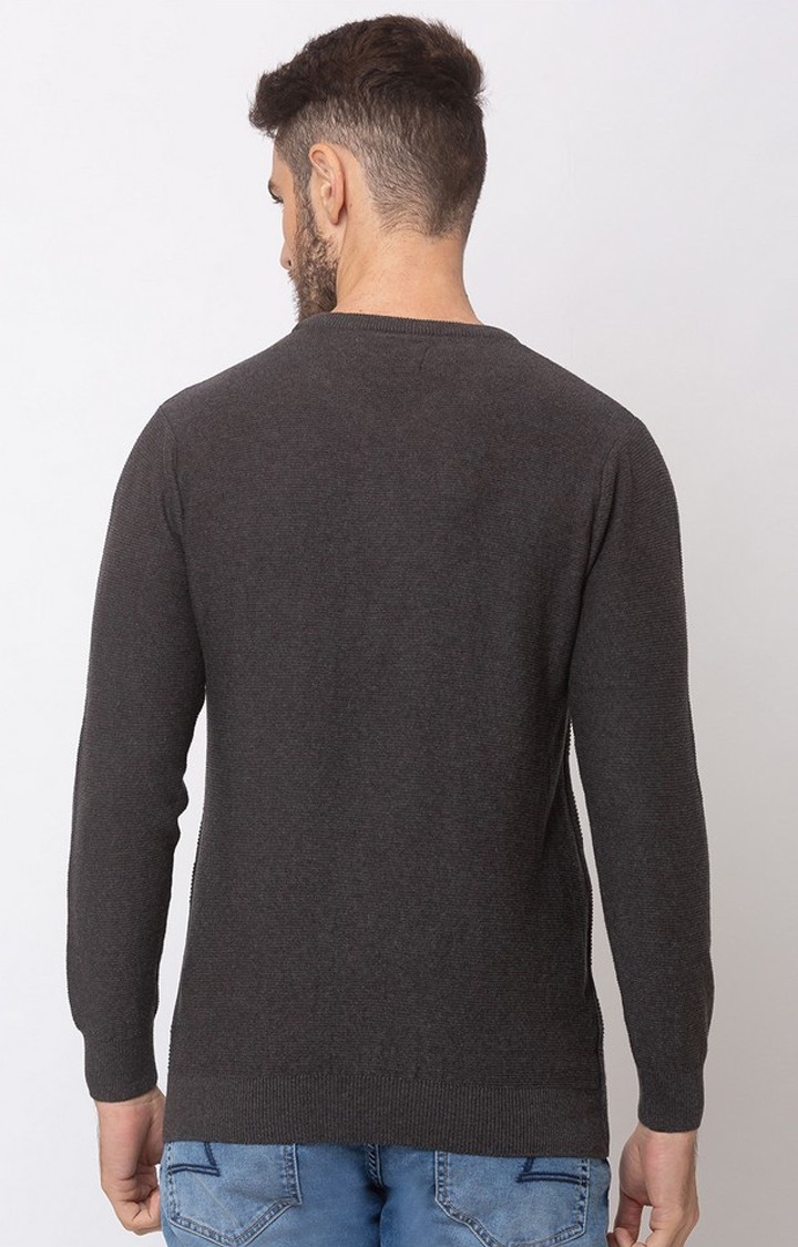 spykar | Spykar Grey Cotton Regular Fit Sweater For Men 3
