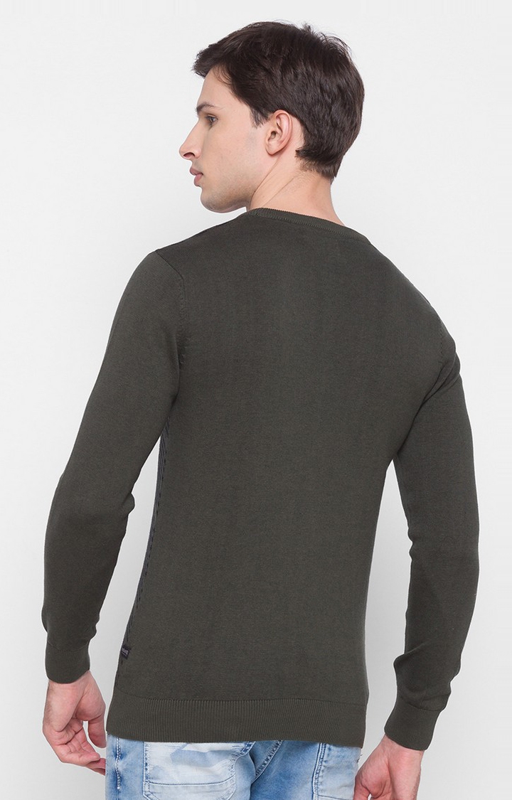 spykar | Spykar Green Cotton Regular Fit Sweatshirt For Men 3