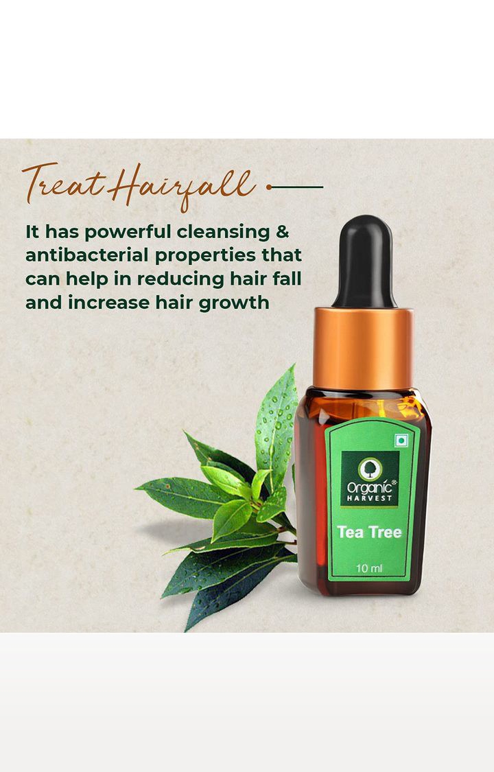 Organic Harvest | Organic Harvest Tea Tree Essential Oil, 10ml 3