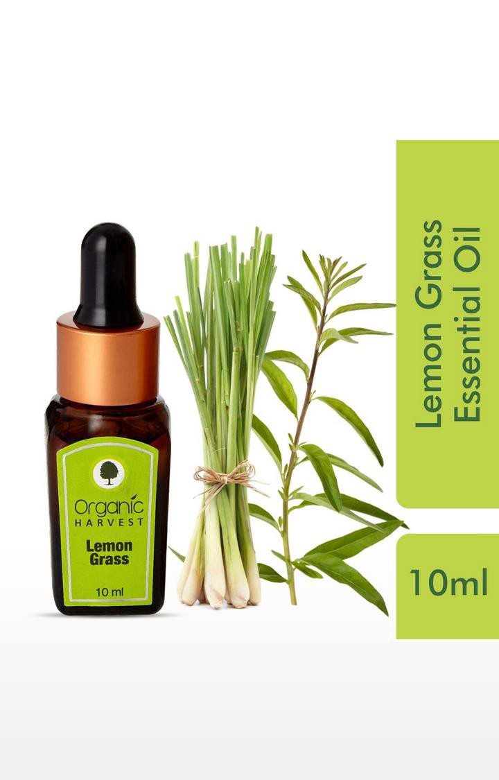 Organic Harvest | Organic Harvest Lemon Grass Essential Oil, 10ml 1