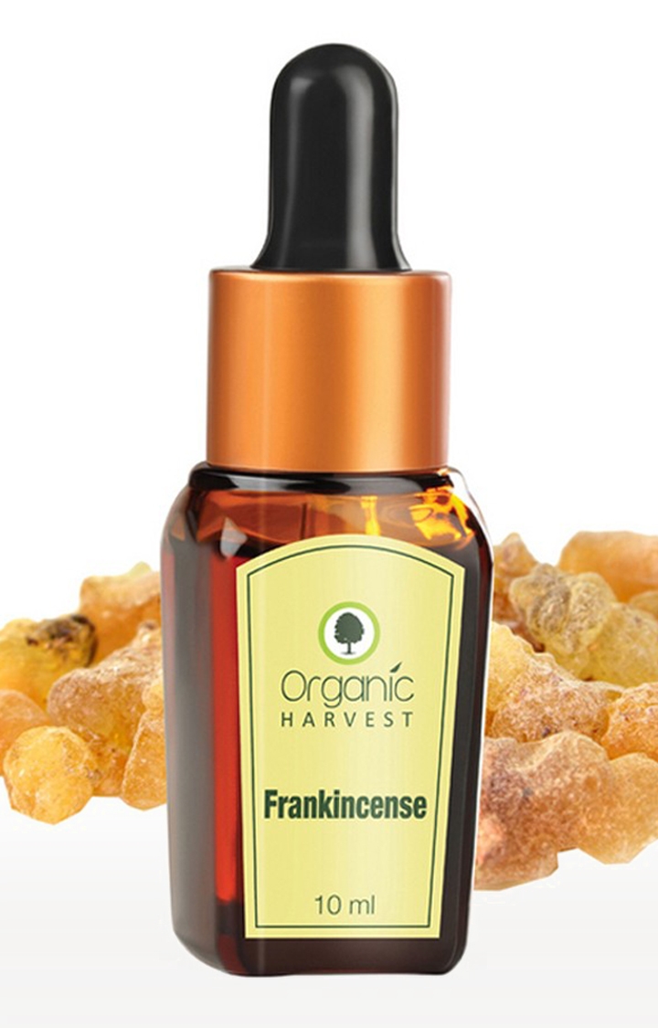 Organic Harvest | Organic Harvest Frankincense Essential Oil, 10ml 0
