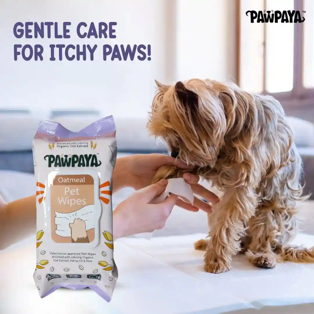 Pawpaya Oatmeal Pet Wipes for Dogs and Cats, 100 Pull Pack (20x18cm)