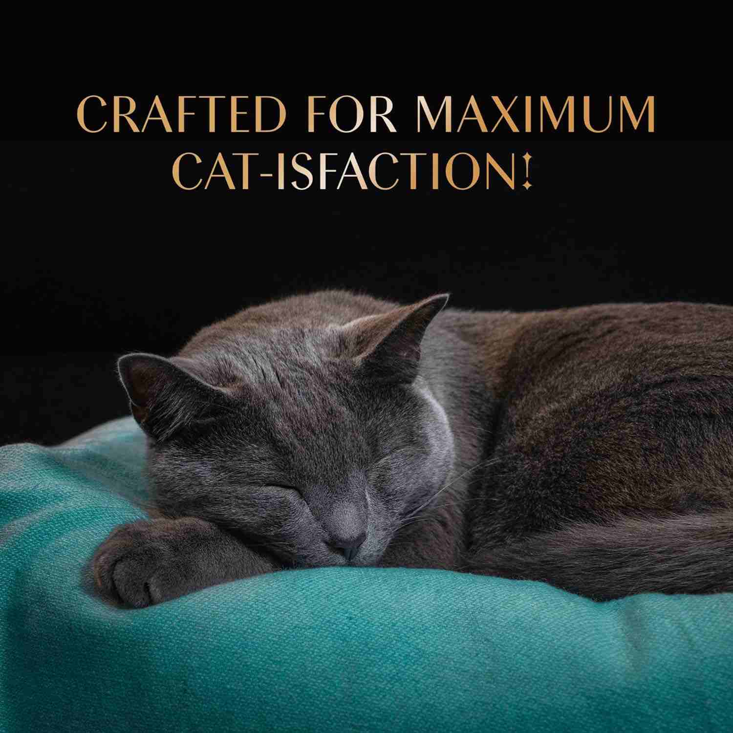 Sheba Chicken & Chicken Whitefish Sasami Selection Melty Premium Cat Treats