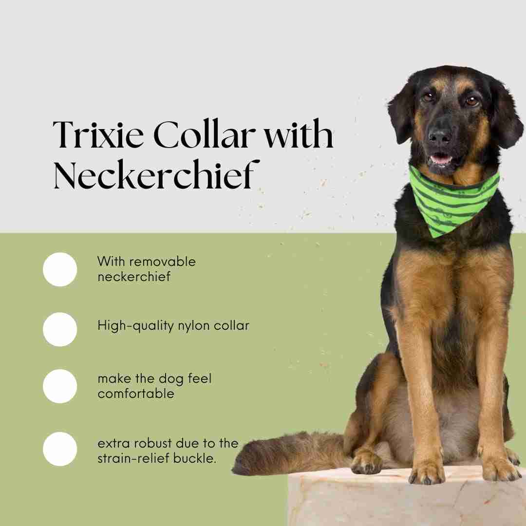 Trixie Collar with Neckerchief for Dogs, Apple Green