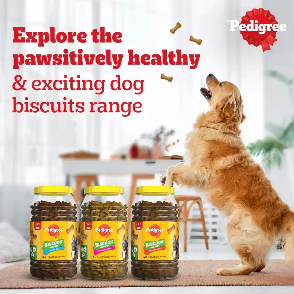 Pedigree Lamb Flavour (4+ Months) Biscrok Biscuits Jar Treats for Dogs