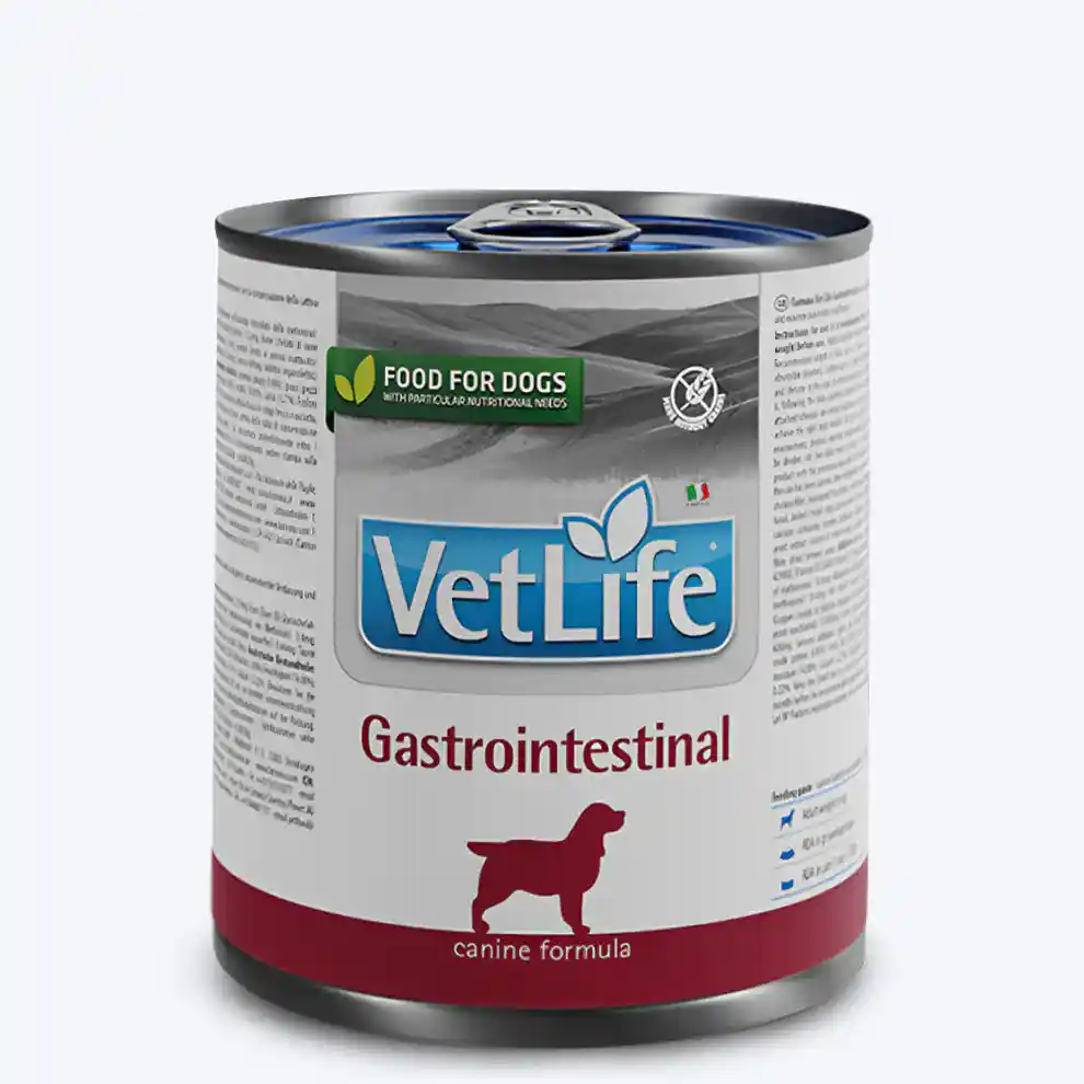 Farmina Vet Life Gastrointestinal Canine Formula Dog Wet Food