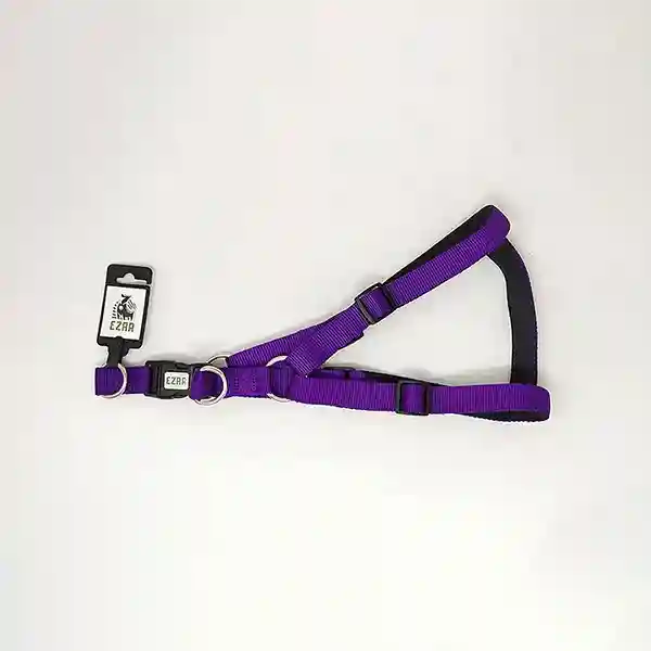 Ezra 2.54 cm Double Thick Harness