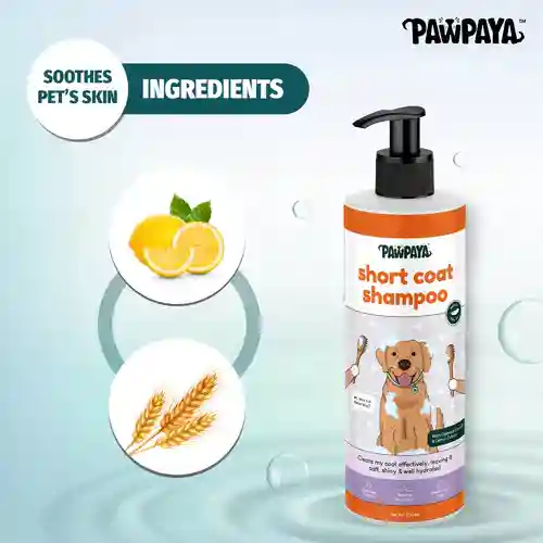 Pawpaya Short Coat Shampoo 250ml – (Best Before Jun’26)